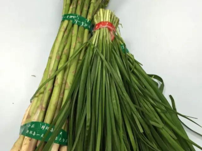 久久香蕉网官网帶綁蔬菜